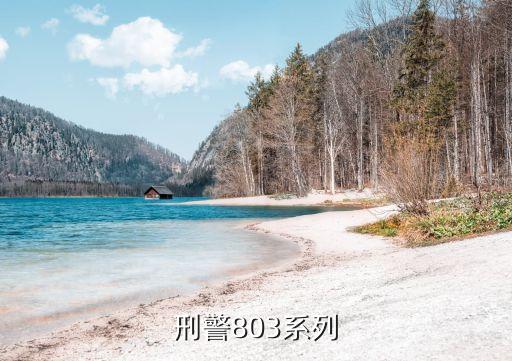 上海市刑警總隊(duì)803，上海刑警803是干嘛呢聽說執(zhí)行特別任務(wù)的