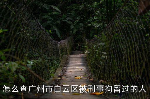 廣州市白云區刑事中隊，廣州白云區*局