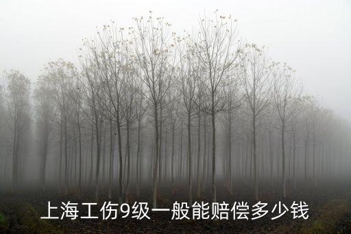 上海市工傷九級賠償標準2018，上海工傷九級能賠多少錢