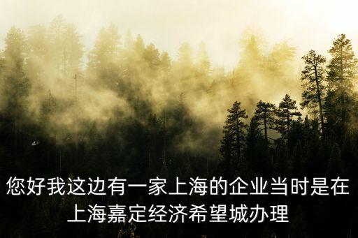 您好我這邊有一家上海的企業(yè)當(dāng)時(shí)是在上海嘉定經(jīng)濟(jì)希望城辦理