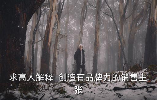 銷售主張，usb銷售主張是什么意思