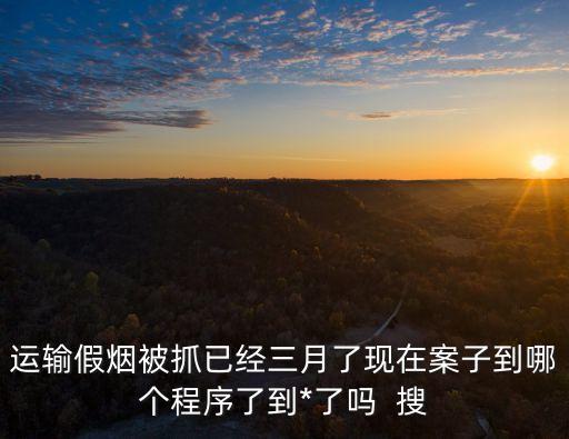 廣州假煙最新抓捕消息，廣州搗毀假煙工廠是怎么回事