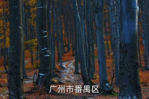 廣州市番禺區信用卡網上追逃名單，廣州市番禺區