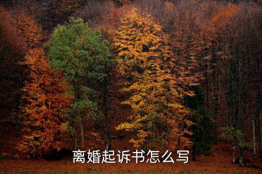 上海市離婚訴訟書怎么寫，離婚訴訟書怎么寫