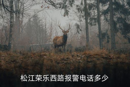 上海市松江區(qū)榮樂派出所，松江谷水苑屬于那一個派出所
