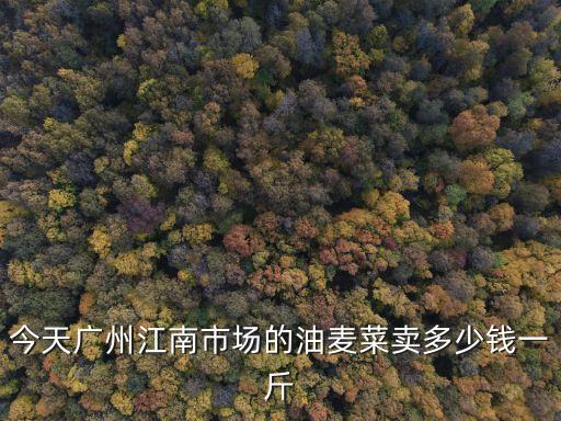 廣州今日菜價多少錢一斤，今天廣州江南市場的油麥菜賣多少錢一斤