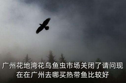 廣州花地灣花鳥魚蟲市場關閉了請問現在在廣州去哪買熱帶魚比較好
