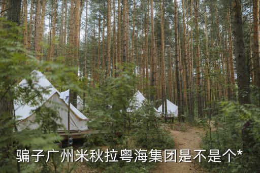 廣州三陽投資，騙子廣州米秋拉粵海集團是不是個*