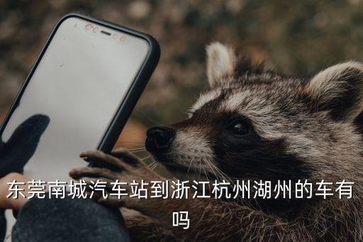 蘄春個性化廣州德森不二之選，東莞南城汽車站到浙江杭州湖州的車有嗎