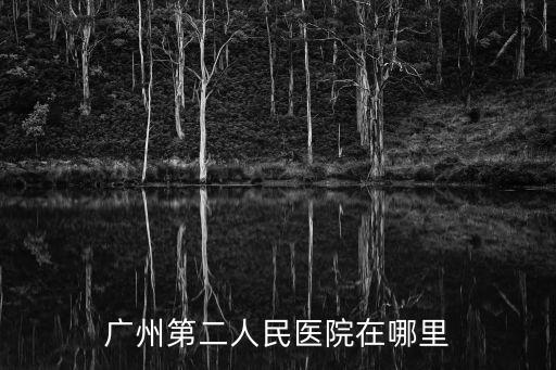 廣州第二人民醫院在哪里