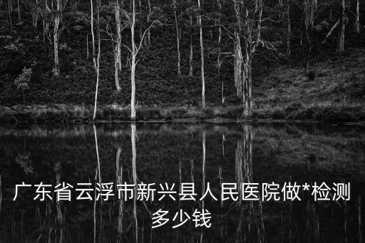 廣東省云浮市新興縣人民醫院做*檢測多少錢