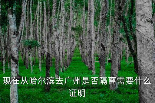 外地對廣州人的申報和隔離要求，現(xiàn)在從哈爾濱去廣州是否隔離需要什么證明