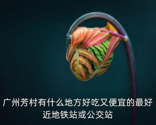 *下廣州芳村的菜價，廣州芳村有什么地方好吃又便宜的最好近地鐵站或公交站