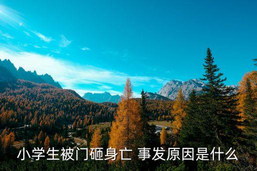 廣州一小學生猝死，小學生在學校突發(fā)心臟病經(jīng)搶救后猝死學校有責任嗎家長大鬧校領導