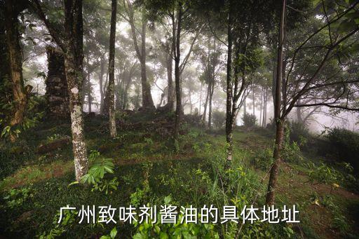 廣州粵德飲食有限公司，廣東廣州市天河區龍崗路8號粵信大廈11樓是干什么的