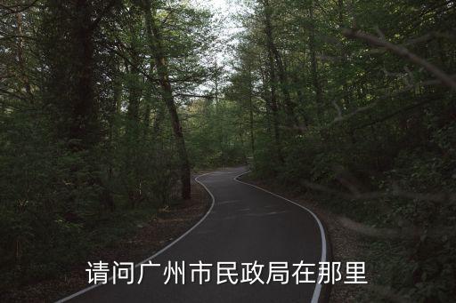廣州市九龍鎮龍湖街民政局在哪里，廣州哪里領結婚證