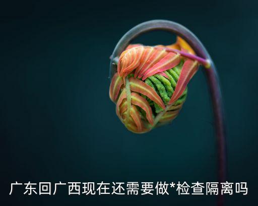 廣州低風(fēng)險(xiǎn)區(qū)回桂林要隔離嗎，廣州回廣西 要*檢測(cè)報(bào)告才行的要不然高速路口就被捉去隔離 是