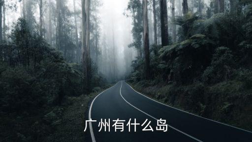 廣州的主要島，廣州有什么島