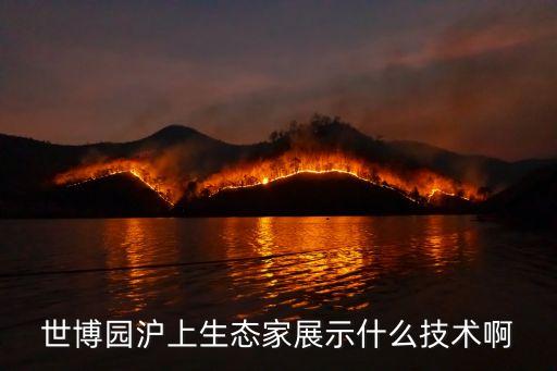 上海市生態環境局長，市生態委環境監查局局長是什么級別