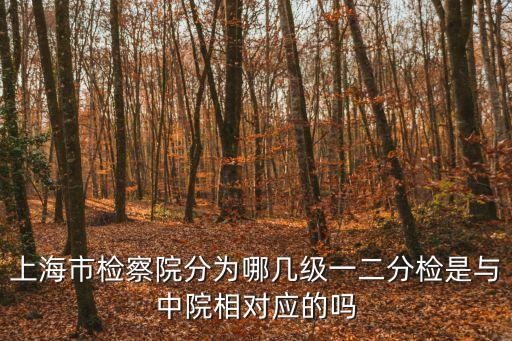 上海市檢察院分為哪幾級一二分檢是與中院相對應的嗎