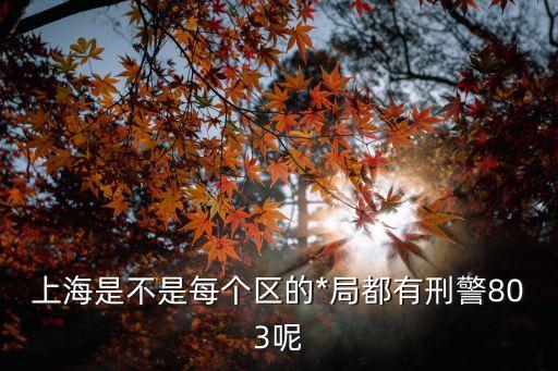 上海市刑偵總隊(duì)依，上海是不是每個(gè)區(qū)的*局都有刑警803呢