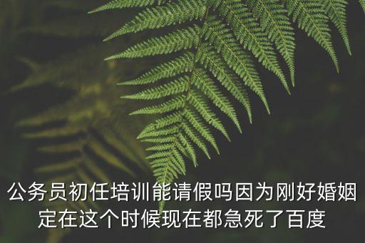 公務員初任培訓能請假嗎因為剛好婚姻定在這個時候現在都急死了百度