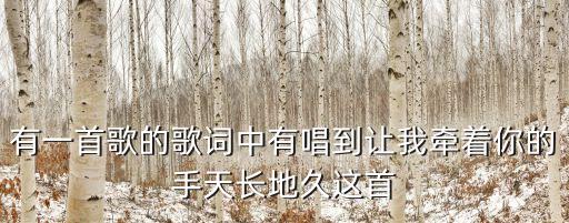 有一首歌的歌詞中有唱到讓我牽著你的手天長地久這首