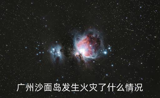 廣州市消防局新聞，今天在廣東省廣州市消防支隊出動救貓行動你支持救貓行動嗎  搜