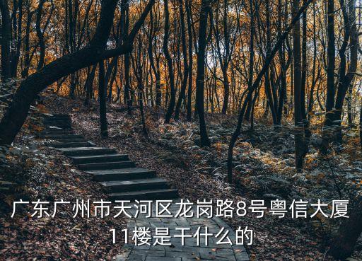 廣州邦君國際，廣東廣州市天河區龍崗路8號粵信大廈11樓是干什么的