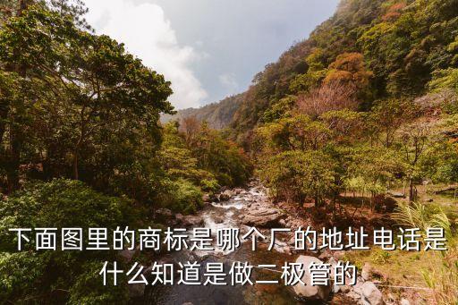 廣州納亨電子科技有限公司，下面圖里的商標是哪個廠的地址電話是什么知道是做二極管的