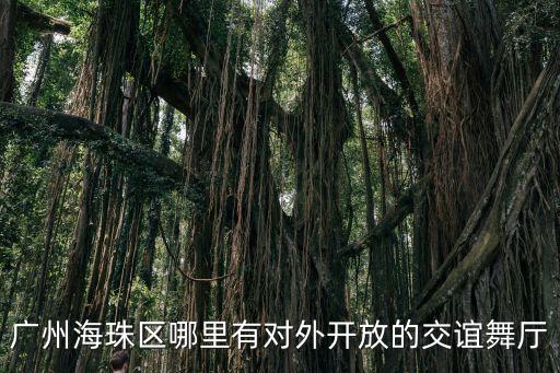 廣州海珠區哪里有對外開放的交誼舞廳