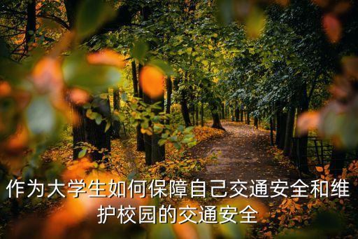 交通安全管理，怎樣才能管理好交通安全