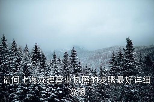 上海市營業執照怎么辦理流程，上海營業執照辦理手續是什么我想辦一個個