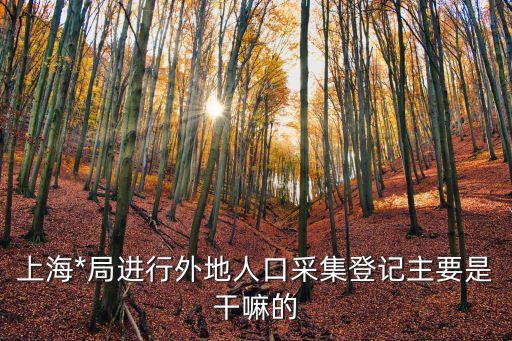 上海市*局外來人口，上海*局進行外地人口采集登記主要是干嘛的