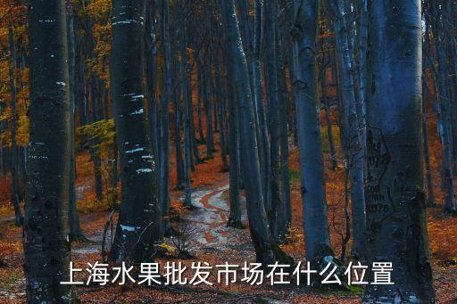 上海市政府 口罩墊，破曉東方趙豐年原型是誰