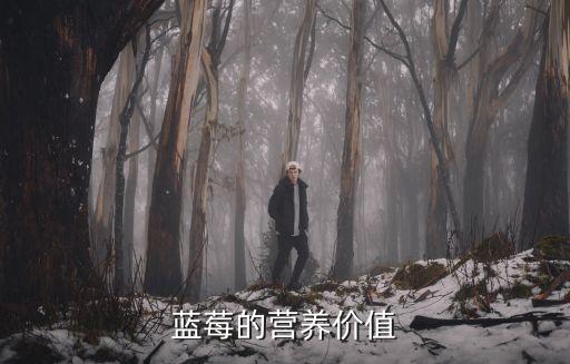 藍莓果，藍莓的營養價值