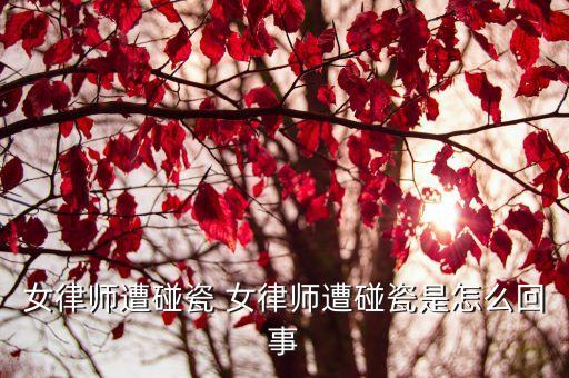 廣州律協(xié)援藏律師，檔案放在勞動局現(xiàn)欲轉(zhuǎn)異地的人才市場
