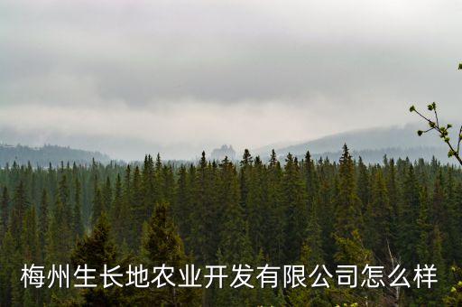廣州梅州詹振文，五葉神香煙的老板是哪里人