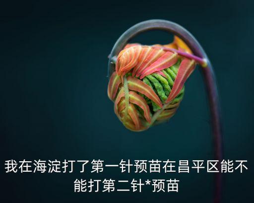 我在海淀打了第一針預(yù)苗在昌平區(qū)能不能打第二針*預(yù)苗