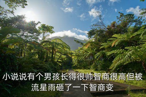 元氣少年小說，小說說有個男孩長得很帥智商很高但被流星雨砸了一下智商變