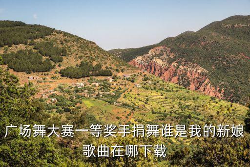 2019上海市民廣場舞大賽一等獎，廣場舞大賽一等獎手捐舞誰是我的新娘歌曲在哪下載