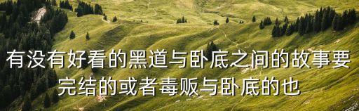 黑道臥底，一部國外搞笑*臥底聯(lián)邦調(diào)查員的電影