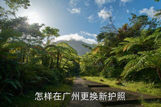 廣州更換護照在哪里，怎樣在廣州更換新護照