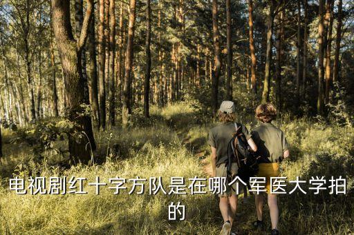 上海市軍醫大學方凡夫，最近老是嘔吐腹瀉還腹痛難受死了想問問上海哪家治胃腸醫院