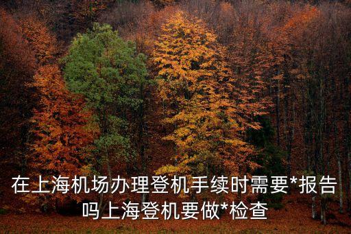 上海市浦東新區(qū)*防控措施，在上海機(jī)場(chǎng)辦理登機(jī)手續(xù)時(shí)需要*報(bào)告嗎上海登機(jī)要做*檢查