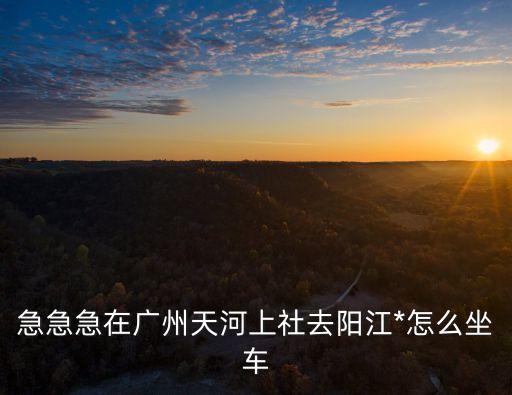 廣州天河怎么去陽江*，急急急在廣州天河上社去陽江*怎么坐車