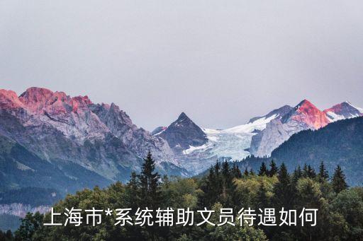 上海市*工資，上海市*系統輔助文員待遇如何