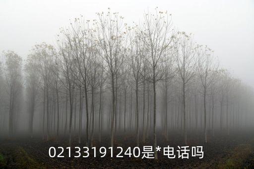 02133191240是*電話嗎