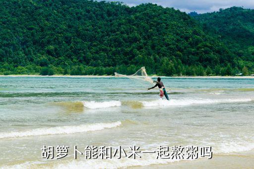 胡蘿卜小米粥，小米胡蘿卜粥的做法小米胡蘿卜粥怎么做好吃小米胡