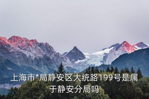 上海市*靜安分局稅號，上海市*局靜安區大統路199號是屬于靜安分局嗎